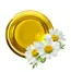 Chamomile Oil